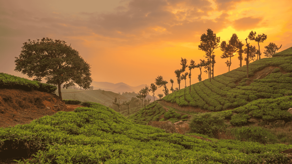 Munnar