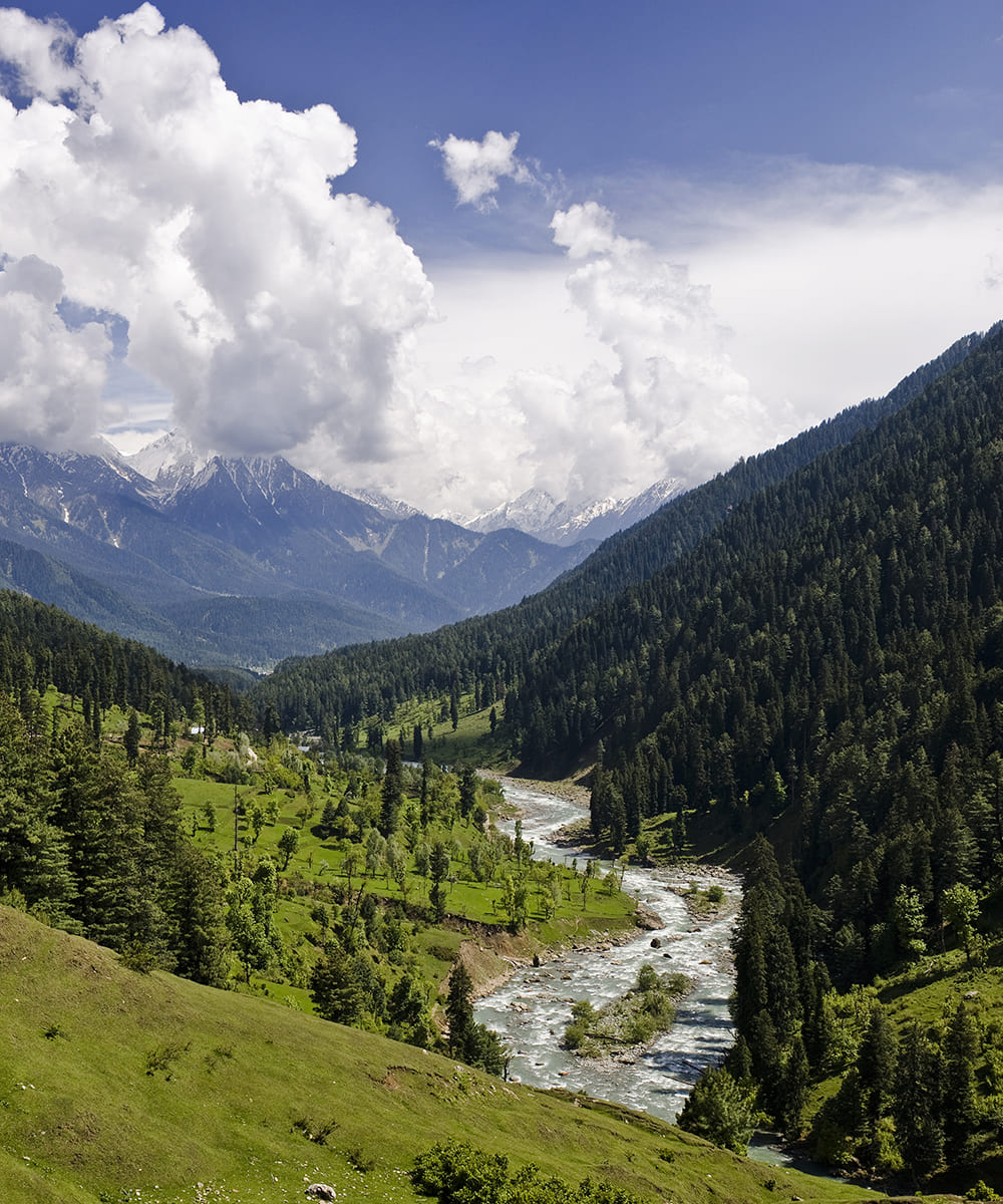 Kashmir