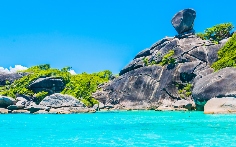 Exotic Andaman