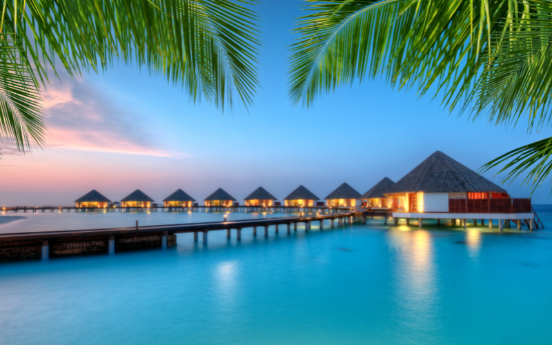 Maldives Tropical Delight