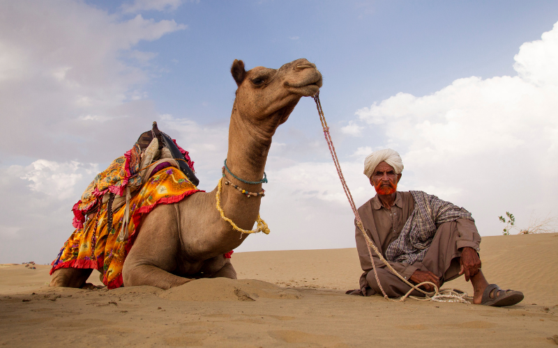 Discover Rajasthan
