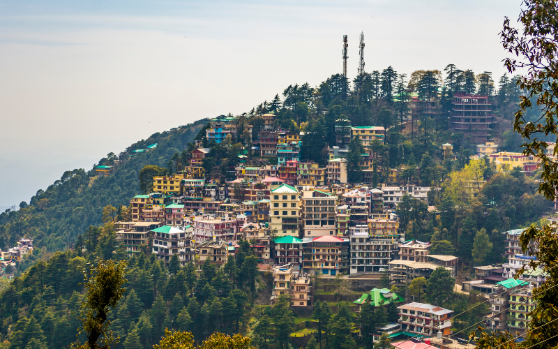 Himachal Delight with Dharamshala and Dalhousie