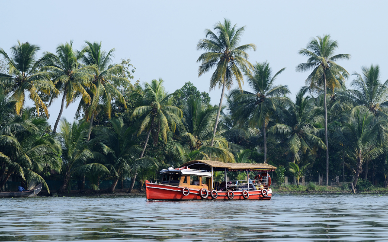 Coconut Holiday