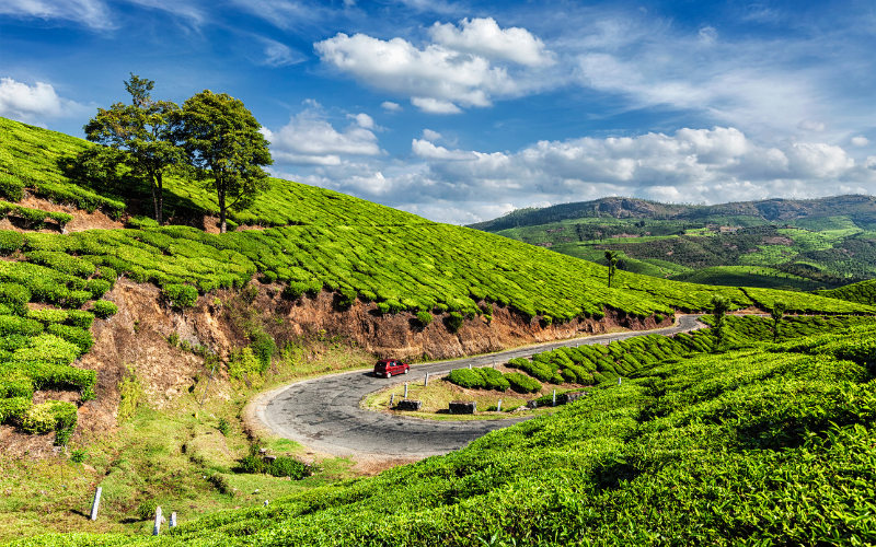 Enchanting Kerala