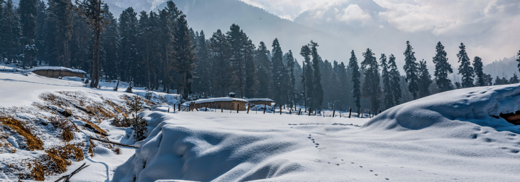 kashmir